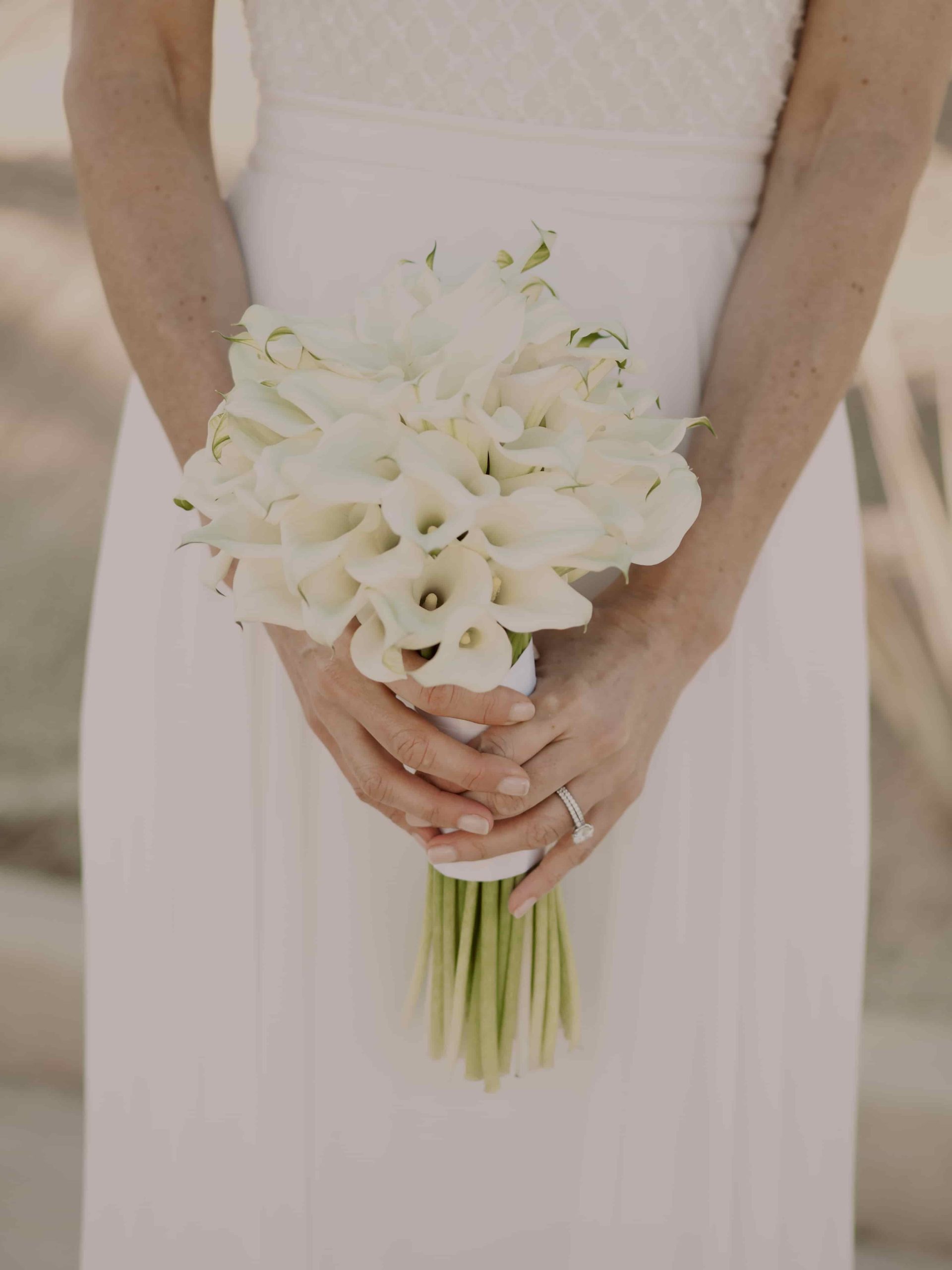 Hacienda del Mar Los Cabos Wedding Photographers